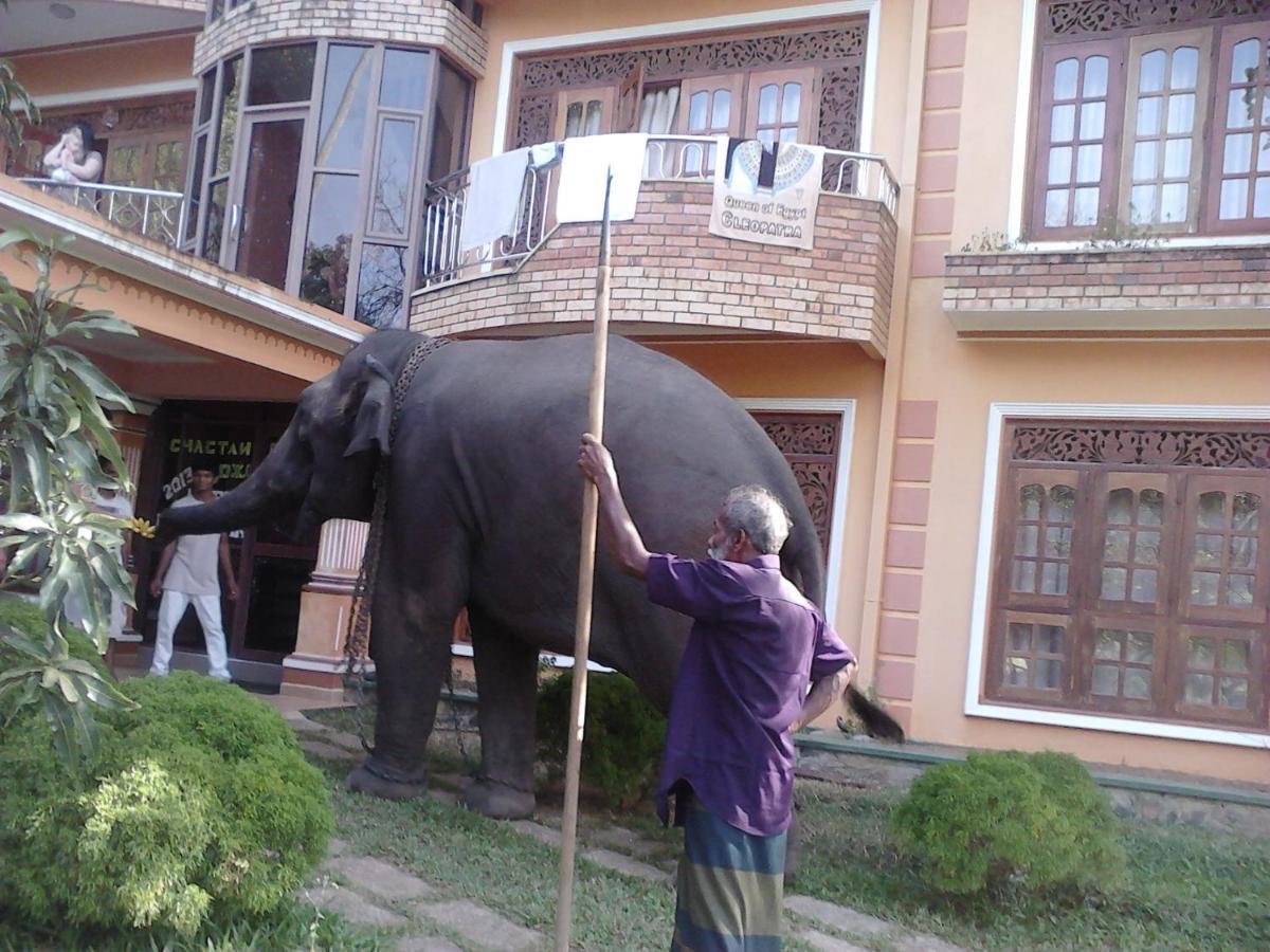 Mount House Hotel Apartment Dikwella Exterior foto
